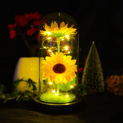 Sunflower Gifts for Women,Sunflower Lamp,Preserved Sunflower in Glass Dome | Light up Sunflower,Sun Flowers Home Decor,Gifts for Sunflower Lovers,Present for Christmas,Birthday,Mothers Day